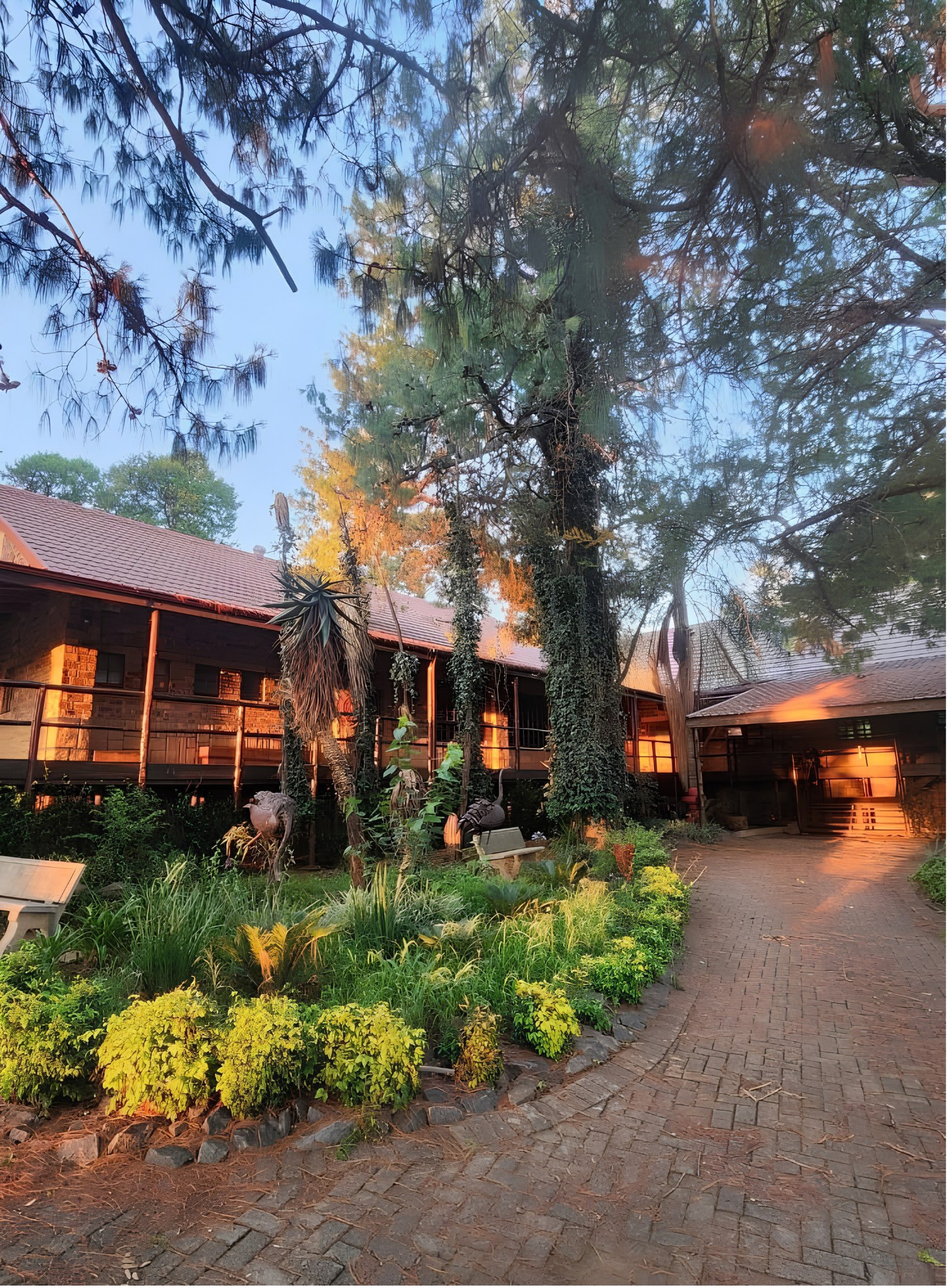 A brick path curving through a planted garden to a timber-verandaed building at The Pines